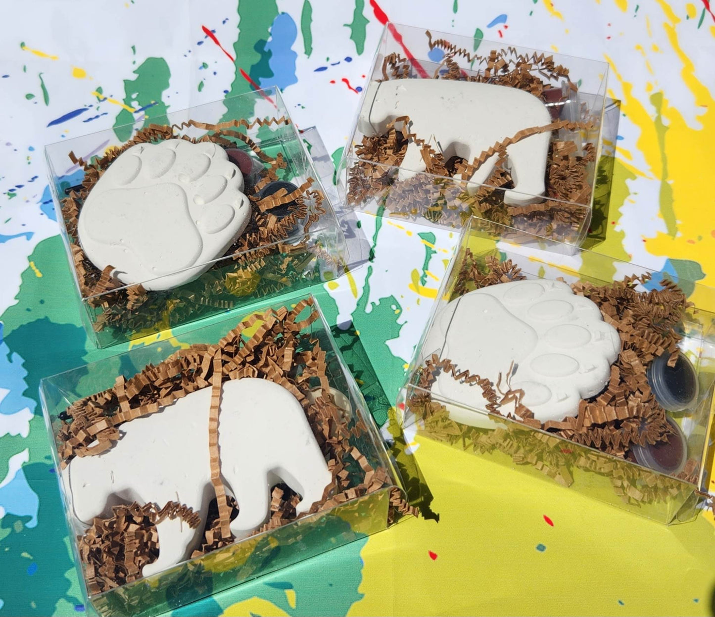 Wild Bear Adventure Plaster Paint Kits - Perfect Wilderness Birthday Party Favors for Boys , Birthday Craft, Party Activity, Thank you Bags