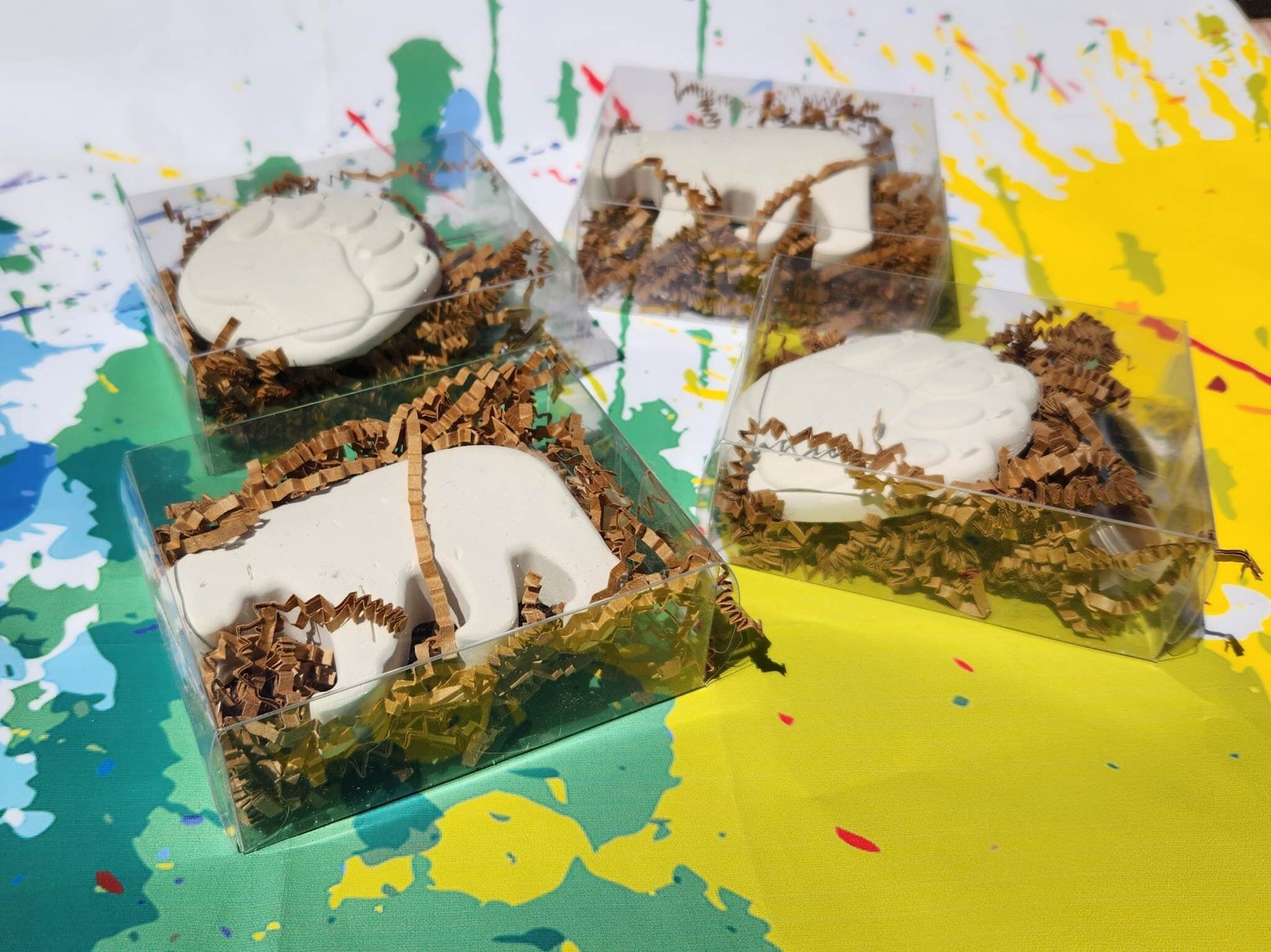 Wild Bear Adventure Plaster Paint Kits - Perfect Wilderness Birthday Party Favors for Boys , Birthday Craft, Party Activity, Thank you Bags