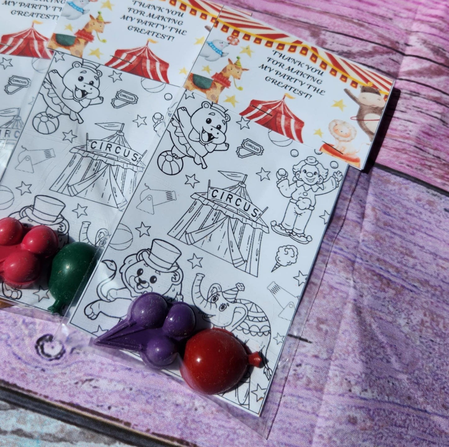 Circus Party Favor Coloring Kit with Crayons | Carnival Birthday Goodie Bag | Non-Candy Party Favor | Circus Theme | Kids Party Activity