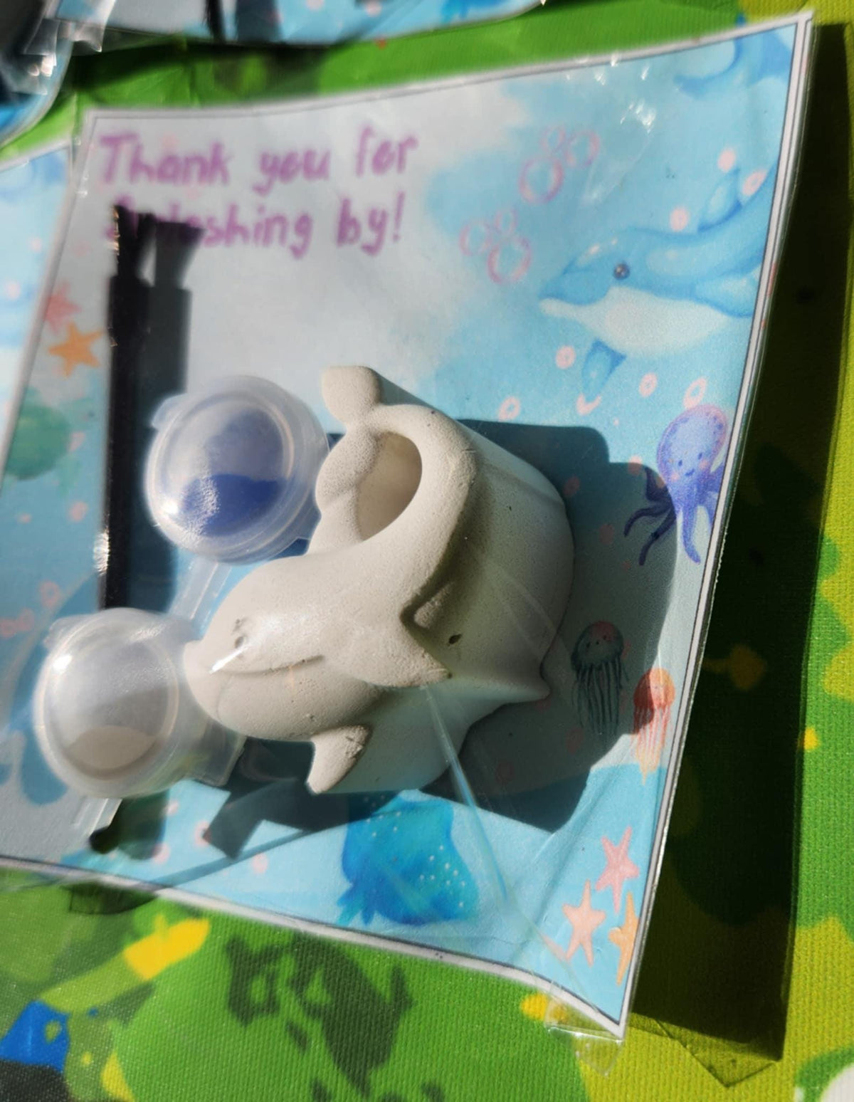 Dolphin Paint Kit Party Favors for Kids - Perfect for Birthdays and Events, Non-Toxic Paints Included - Party Bags
