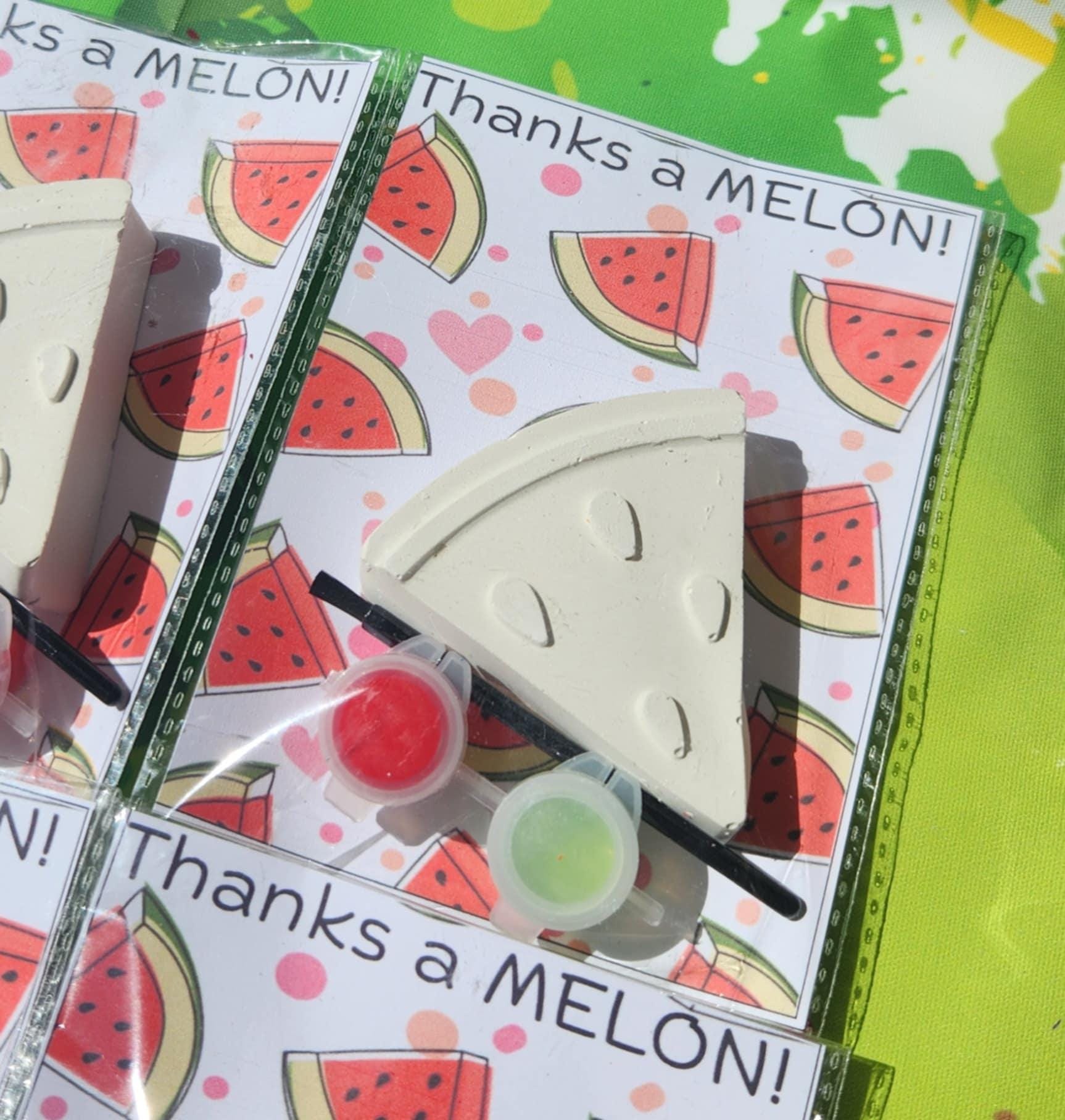 Watermelon Plaster Paint Kits - Fun DIY Craft for Kids Birthday Party Favors - Birthday Activities - Thank You Gift