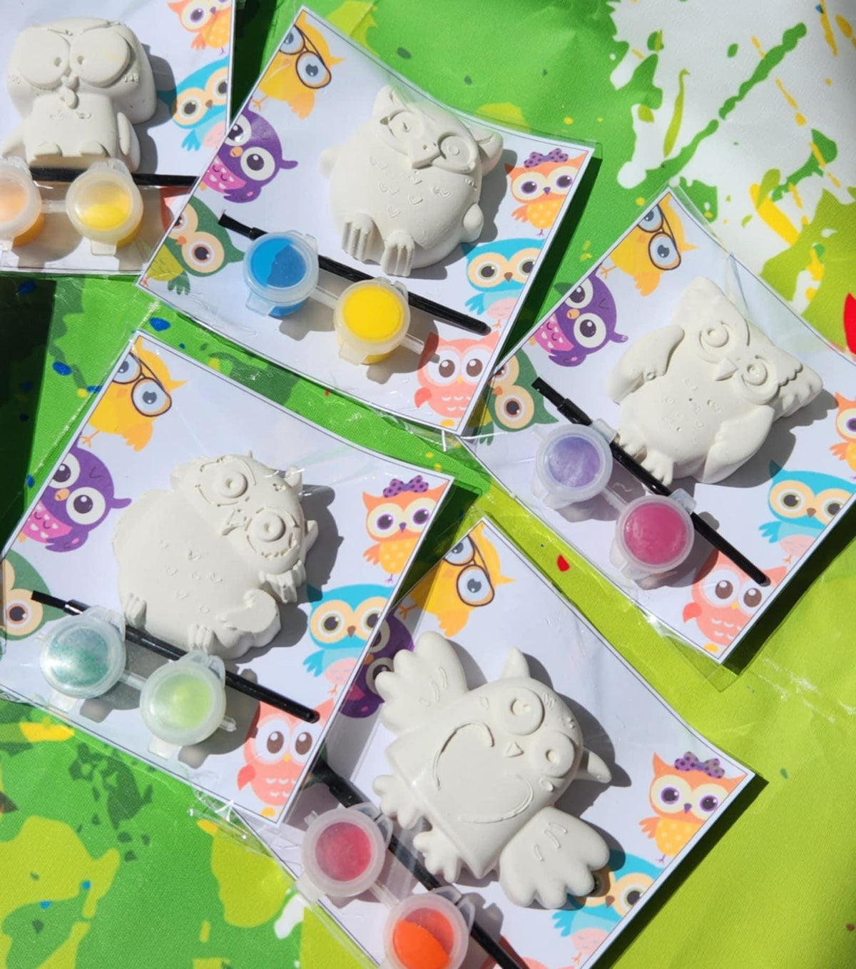 Owl Paint Your Own Kit | Owl Party Favors | DIY Kids Craft Activity | Take Home Gift | Owl Birthday Decorations | Painting Kit for Kids
