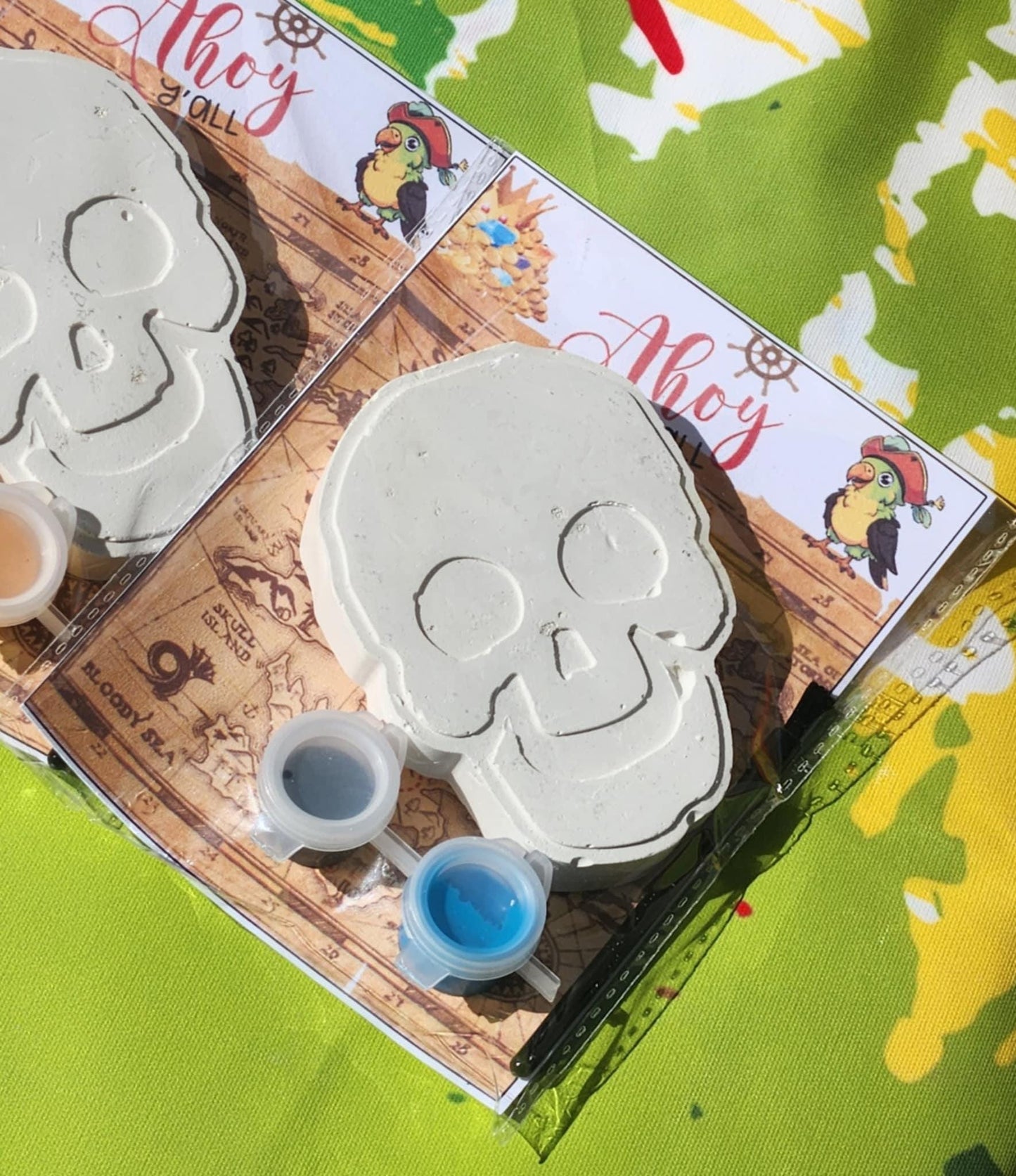 Skull Themed Paint Party Favors for Kids | DIY Pirate Craft Kit | Birthday Activity | Non-Toxic Paint | Boy or Girl Gift | Party Supplies