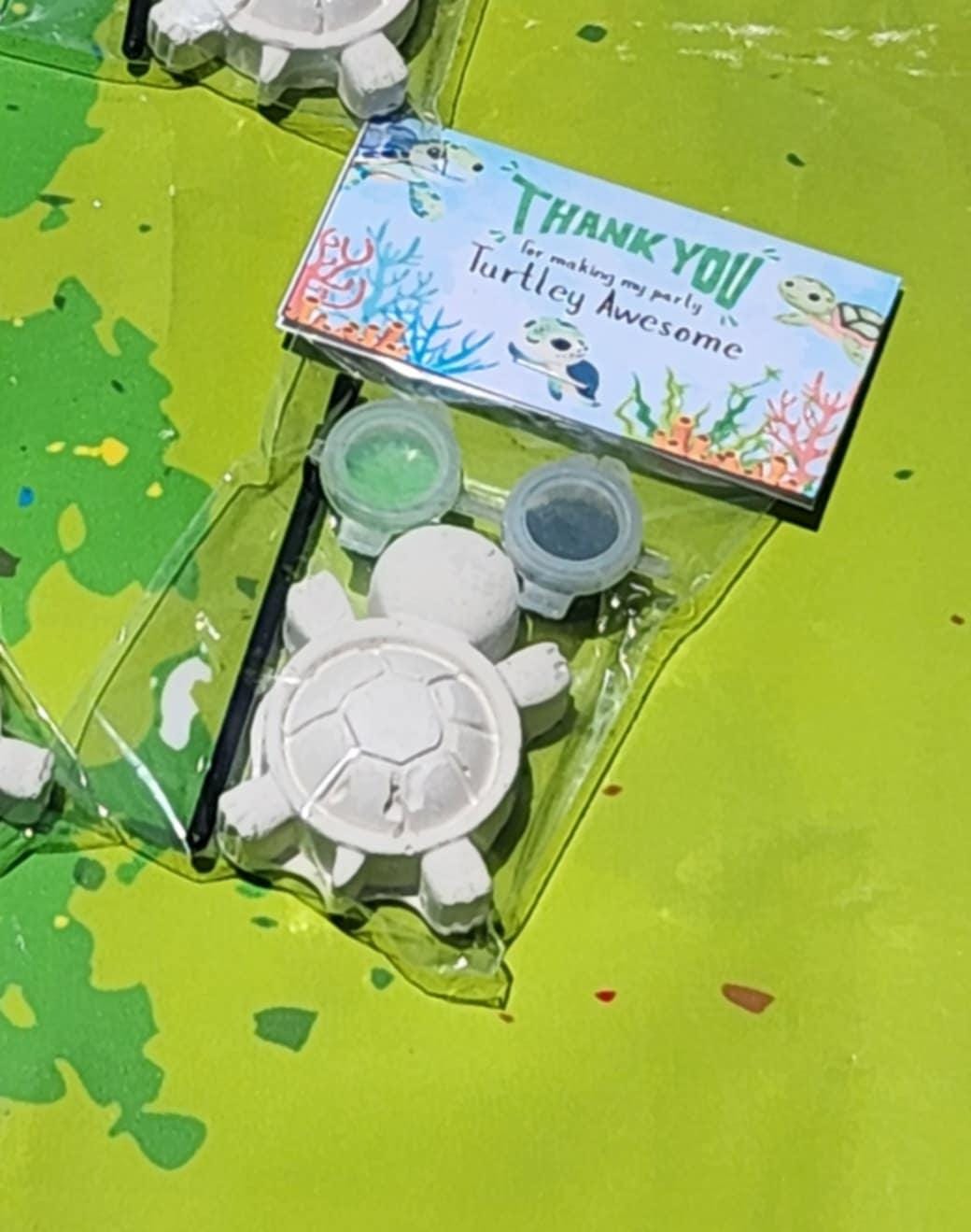 Turtle Plaster Paint Kits for Kids – DIY Sea Turtle Craft – Birthday Party Favors – Ocean Party Activity – Non-Toxic Art Kit