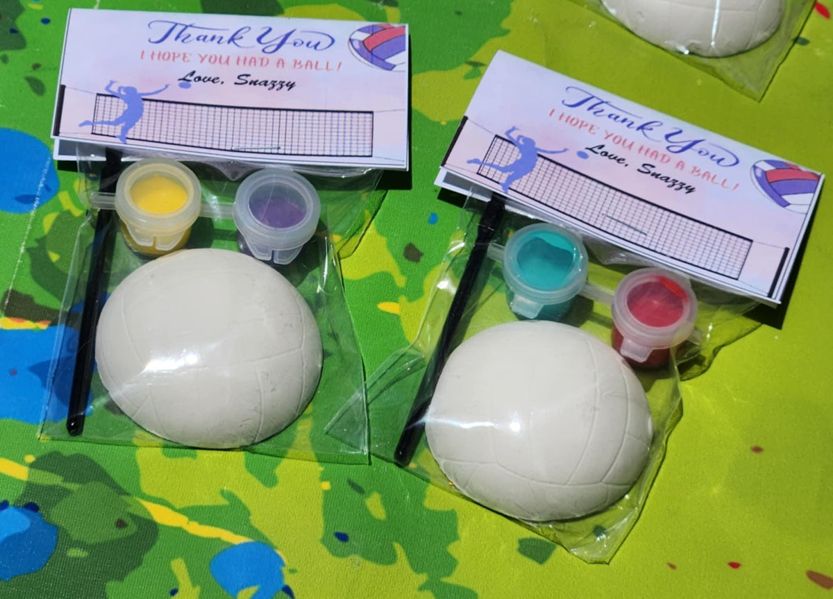 Volleyball Paint Kits for Kids | DIY Sports Craft | Volleyball Birthday Party Favors | Non-Candy Goodie Bag Idea | Kids Painting Activity