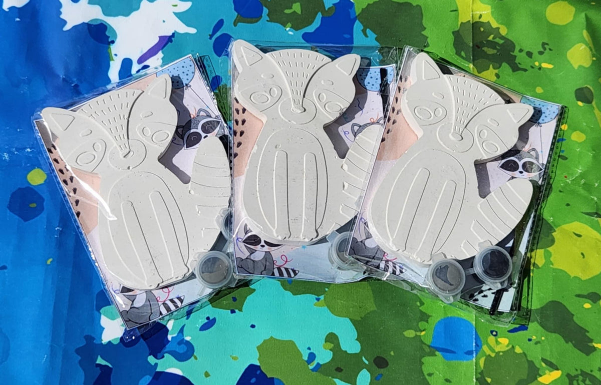Paint Your Own Raccoon Plaster Kit: Kids' Craft Activity