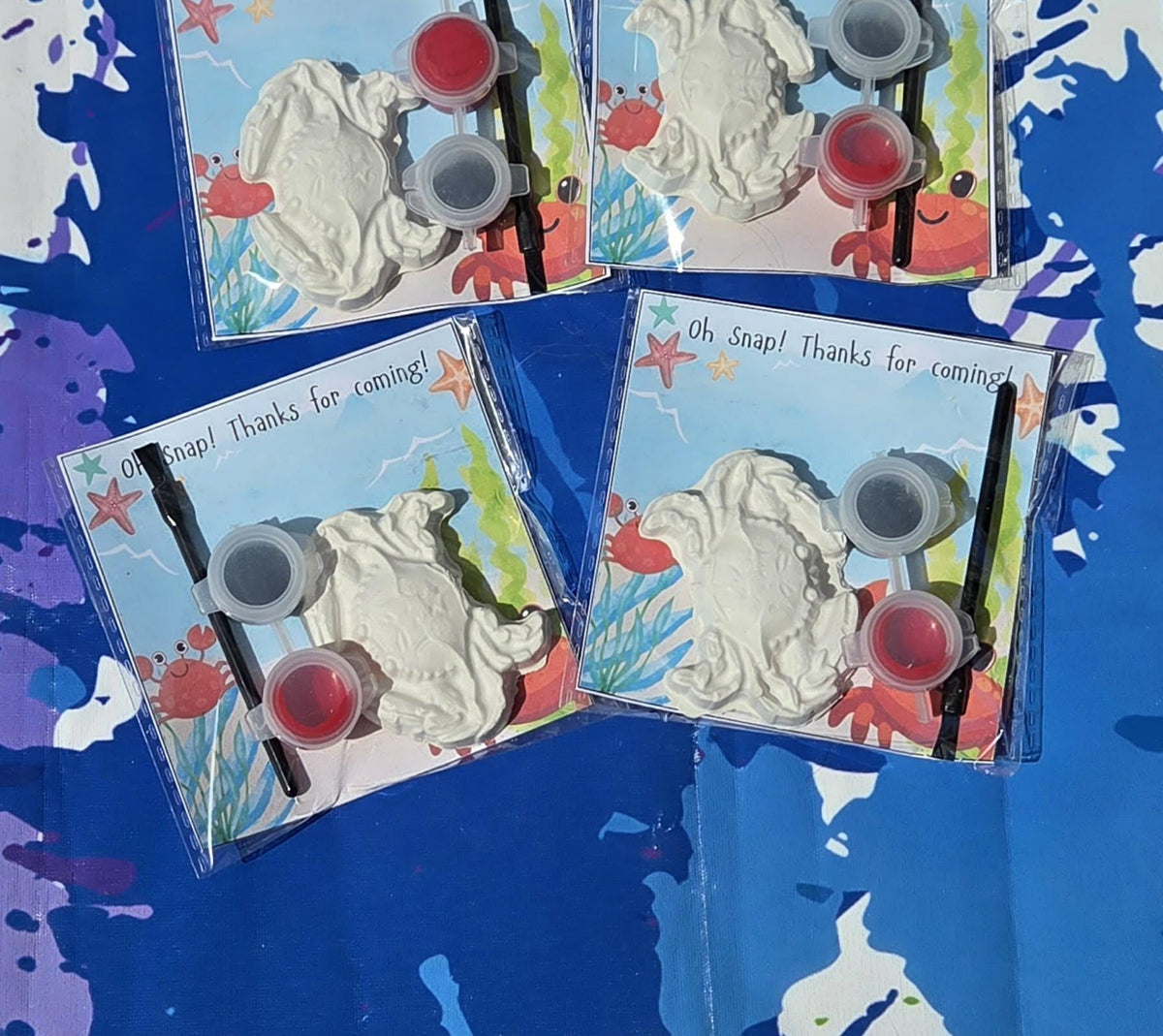 Crab Paint Your Own Kit, Beach Party Favor, Ocean Birthday Activity, Under the Sea Party Favor, DIY Kids Craft, Non Candy Gift