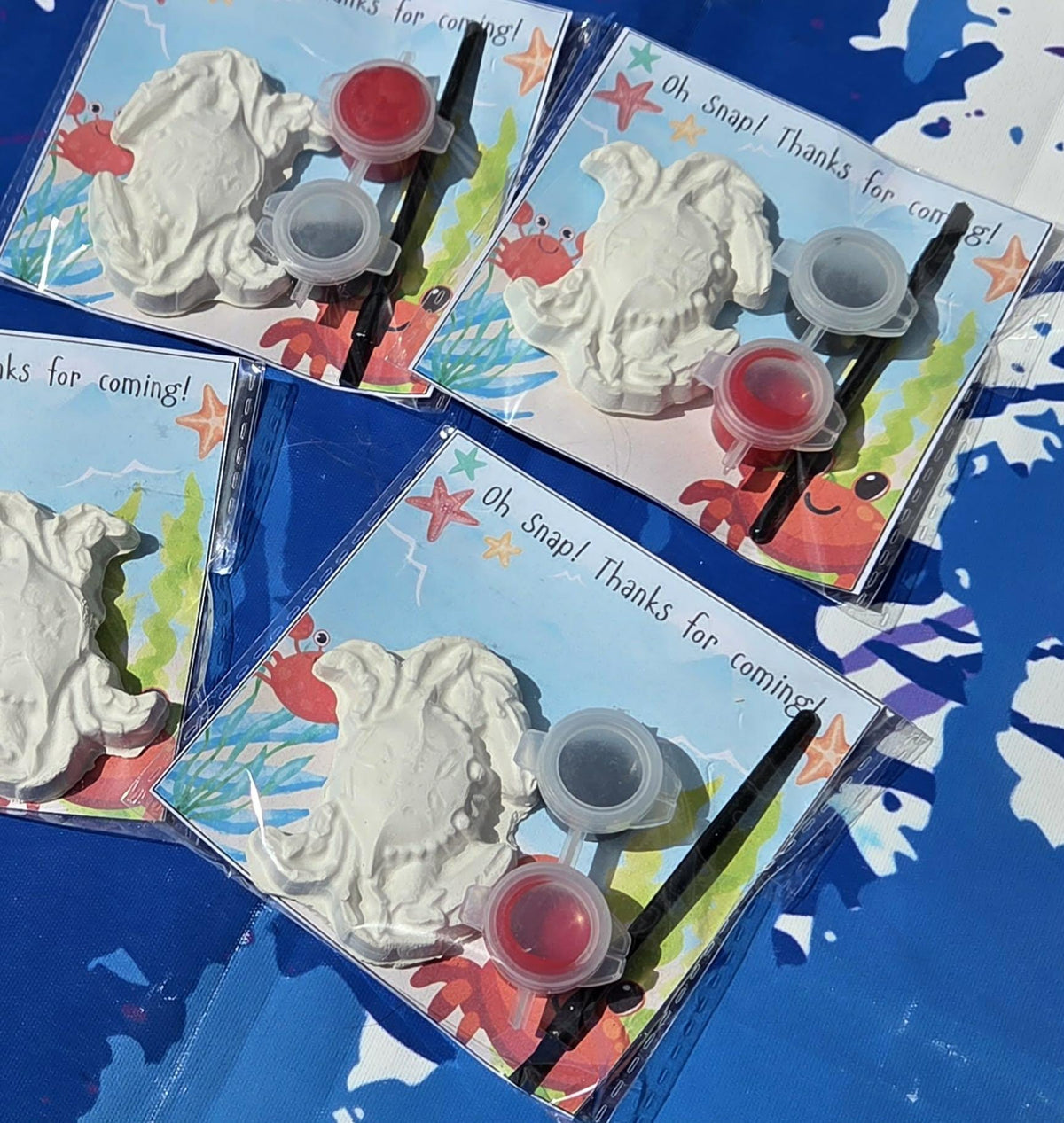 Crab Paint Your Own Kit, Beach Party Favor, Ocean Birthday Activity, Under the Sea Party Favor, DIY Kids Craft, Non Candy Gift